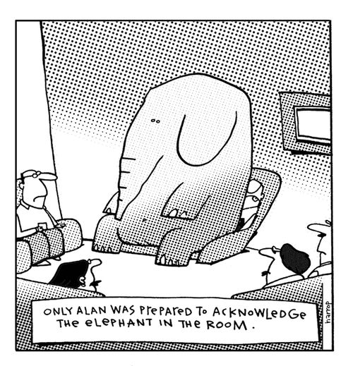 The elephant in the room.