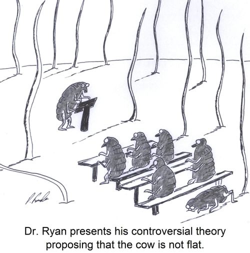Dr. Ryan presents his controversial theory proposing that the cow is not flat.