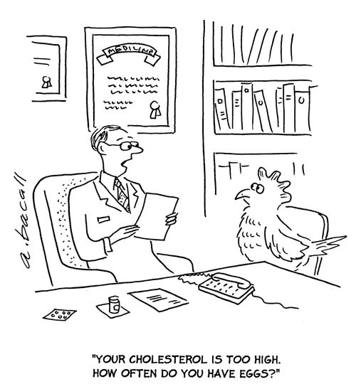 "Your cholesterol is too high. How often do you have eggs?"