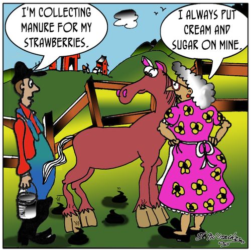 'I'm collecting manure for my strawberries.' 'I always put cream and sugar on mine.'