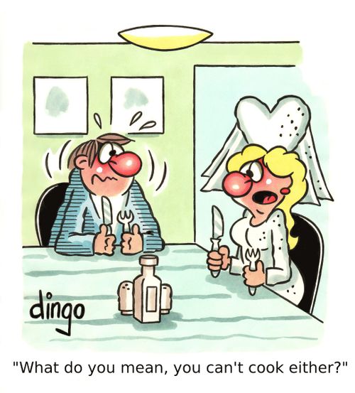'What do you mean, you can't cook either?'
