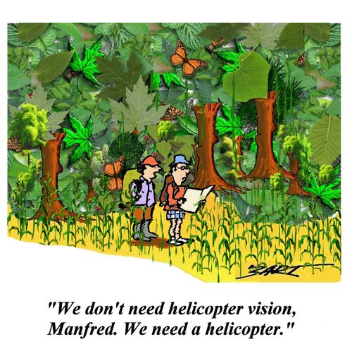 'We don't need helicopter vision, Manfred. We need a helicopter.'