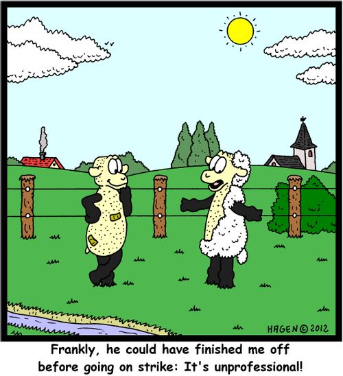 'Frankly, he could have finished me off before going on strike: It's unprofessional!'