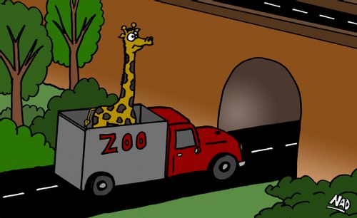 A giraffe in a truck is heading for a low bridge.