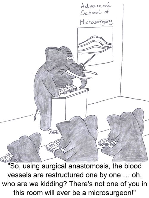 'So, using surgical anastomosis, the blood vessels are restructured one by one … oh, who are we kidding? There's not one of you in this room will ever be a microsurgeon!'