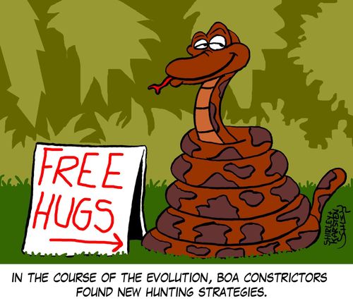 In the course of the evolution, Boa Constrictors found new hunting strategies.