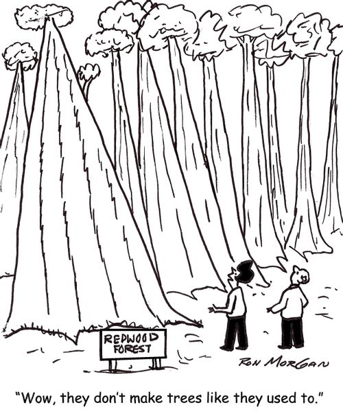 'Wow, they don't make trees like they used to.'
