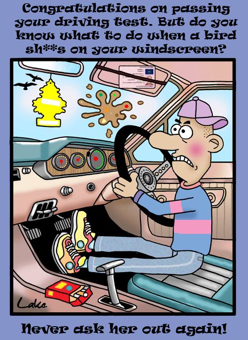 Congratulations on passing your driving test. But do you know what to do when a bird sh**s on your windscreen? Never ask her out again.