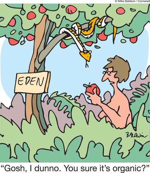 'Gosh, I dunno. You sure it's organic?'