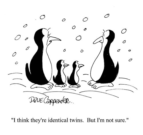 'I think they're identical twins. But I'm not sure.'