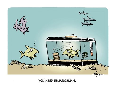 "You need help, Norman."