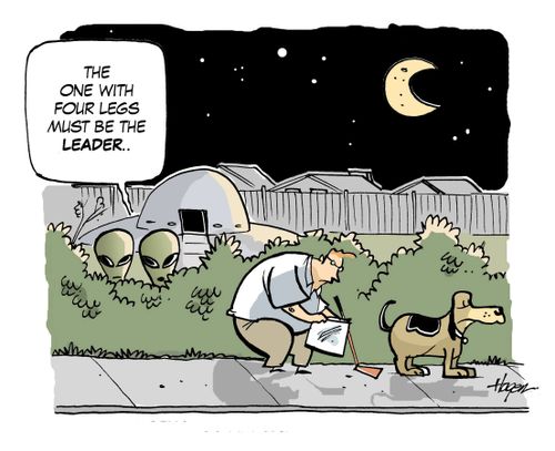 'The one with four legs must be the leader.'