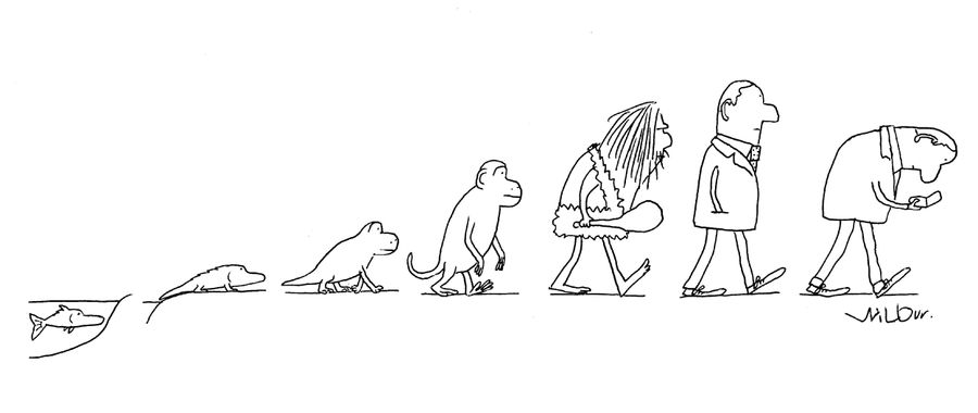 Evolution of Man
