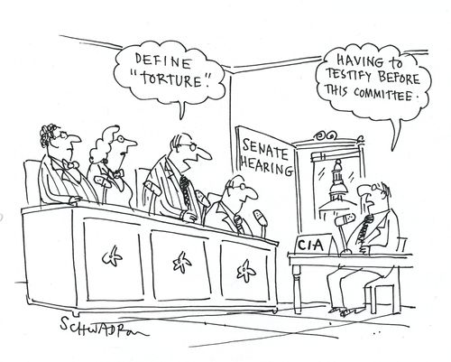 Senate Hearing: 'Define torture.' 'Having to testify before this committee.'