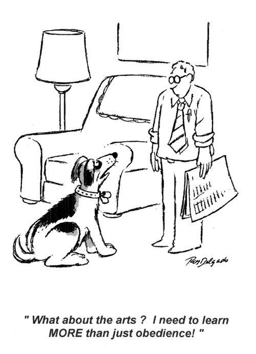 'What about the arts? I need to learn MORE than just obedience!'