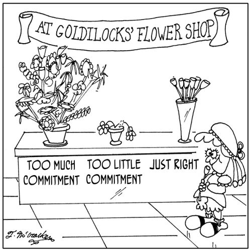 The Goldilocks Flower Emporium has bouquets labeled Too Much Commitment, Too Little Commitment, and Just Right.