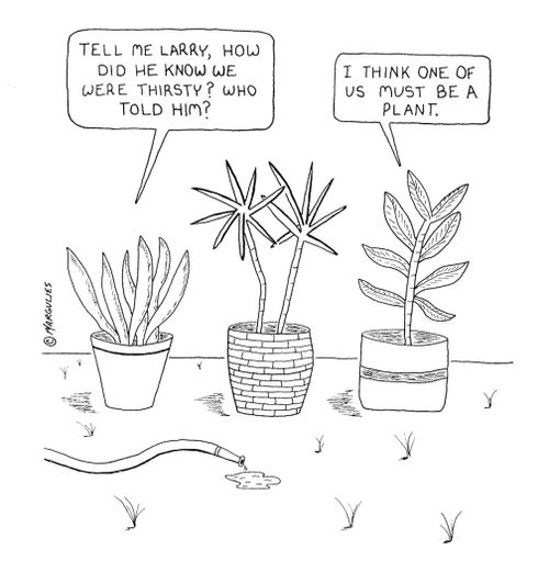 'I think one of us must be a plant.'