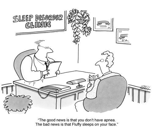 'The good news is that you don't have apnea. The bad news is that Fluffy sleeps on your face.'