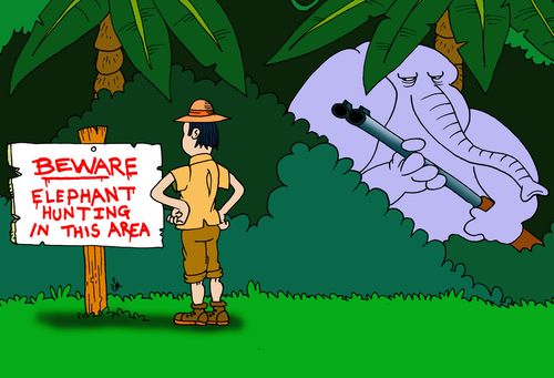 Elephant Hunting