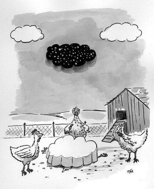 Chicken lies dead under the sky that has fallen on her.