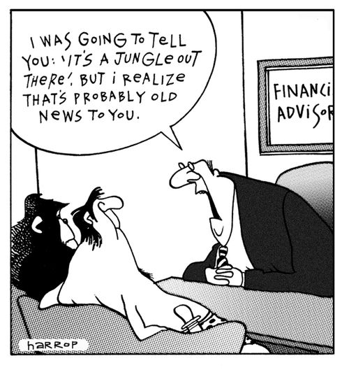"I was going to tell you it's a jungle out there, but I realize that's probably old news to you."