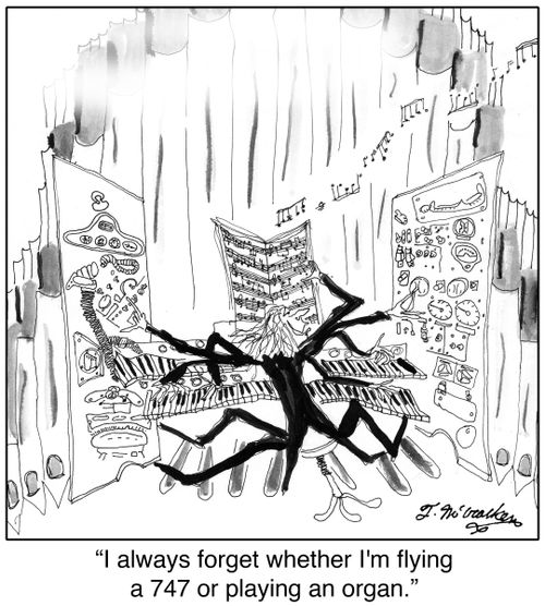 'I always forget whether I'm flying a 747 or playing an organ.'