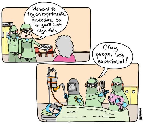 The Experimental Procedure