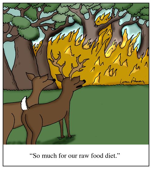 'So much for our raw food diet.'