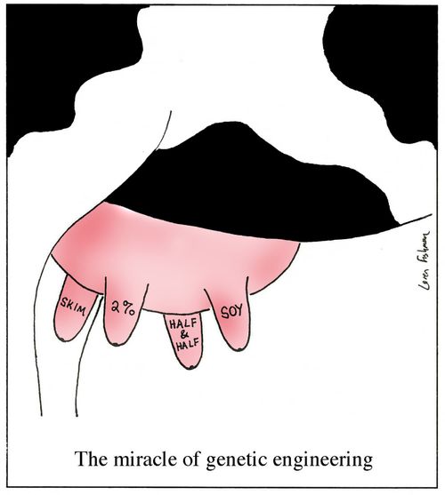 The miracle of genetic engineering
