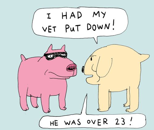 'I had my vet put down. He was over 23!'