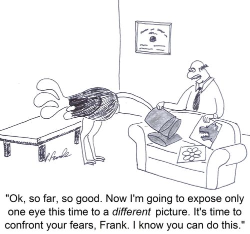'Ok, so far, so good. Now I'm going to expose only one eye this time to a different picture. It's time to confront your fears, Frank. I know you can do this.'