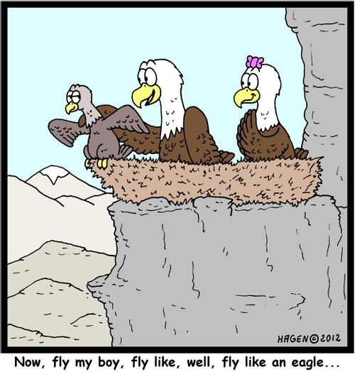 'Now, fly my boy, fly like, well, fly like an eagle...'