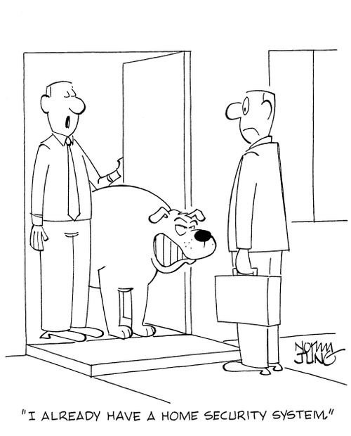 'I already have a home security system.'