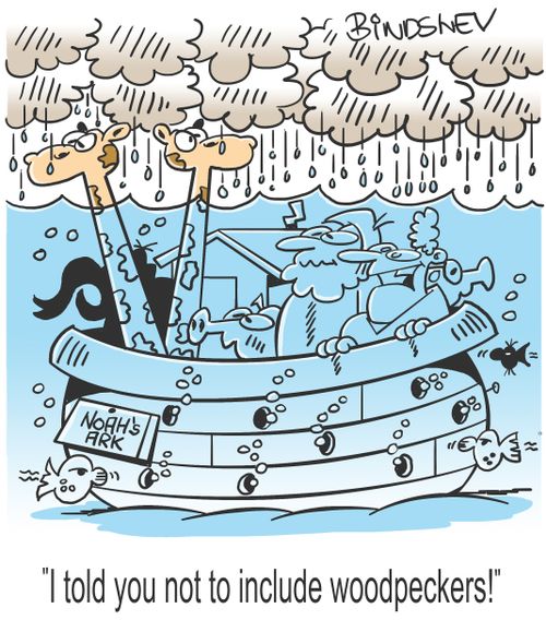 "I told you not to include woodpeckers!"