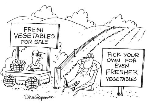 Fresh vegetables for sale / Pick your own for even fresher vegetables.