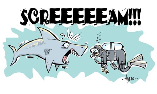 Shark screaming at the sight of a diver.