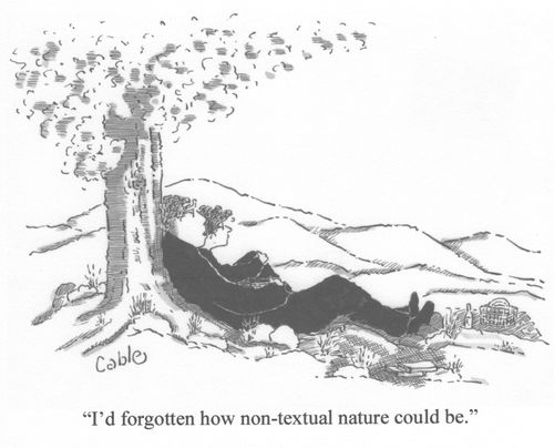 'I'd forgotten how non-textual nature could be.'