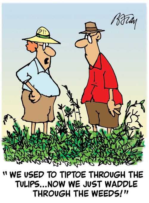 'We use to tiptoe through the tulips. . . now we just waddle through the weeds.'