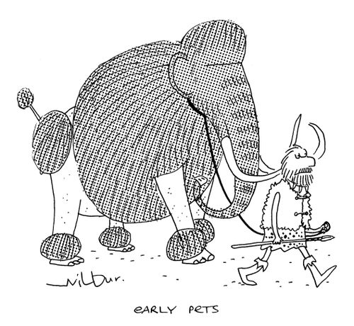 'Early pets'