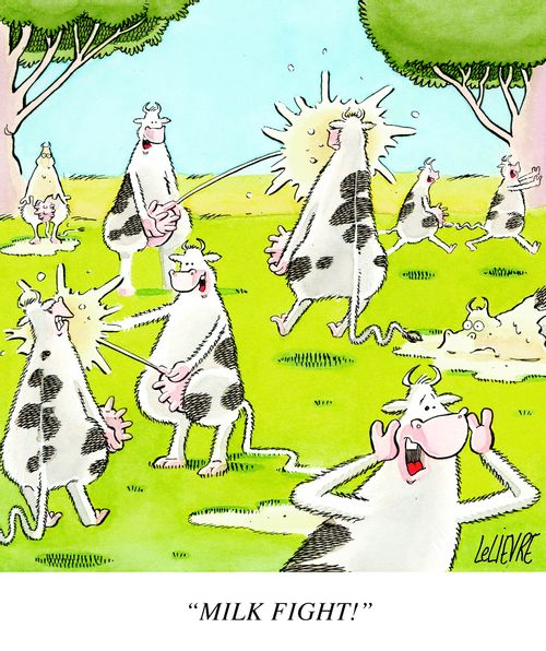 'MILK FIGHT!'