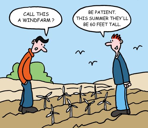 'Be patient. This summer they'll be 60 feet tall'