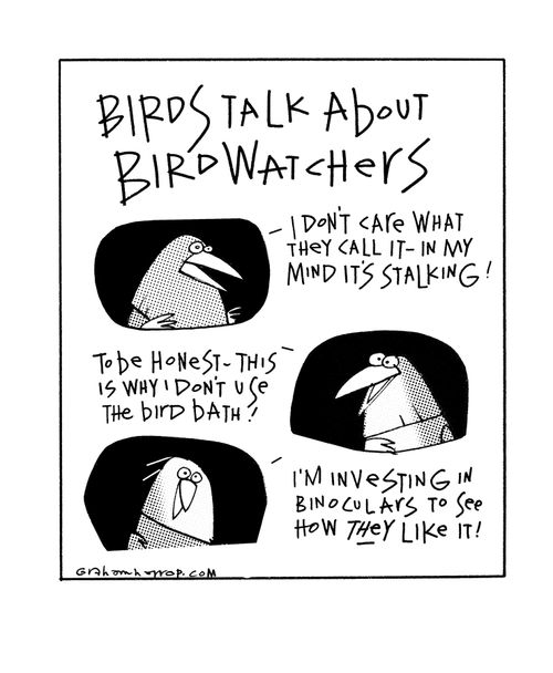 "Birds talk about birdwatchers."