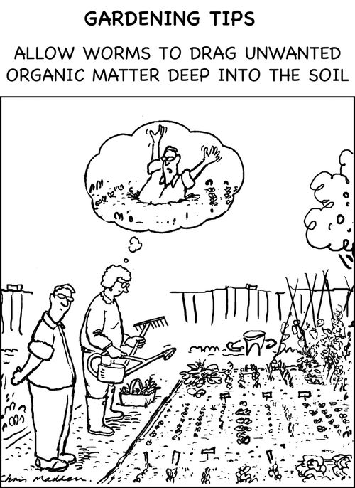 Gardening Tips - allow worms to drag unwanted organic matter deep into the soil