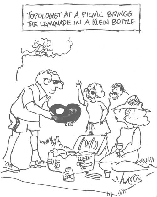 'Topologist at a picnic brings the lemonade in a Klein bottle'