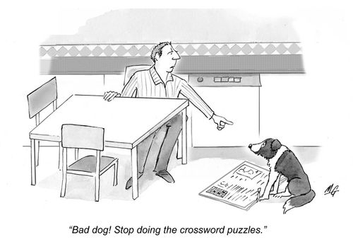 'Bad dog! Stop doing the crossword puzzles.'