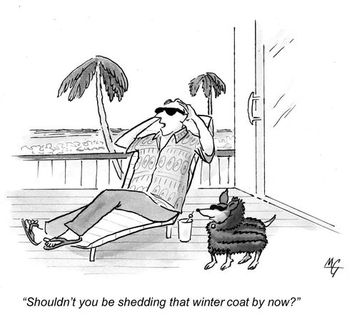 'Shouldn't you be shedding that winter coat by now?'