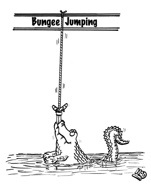 A crocodile eating a bungee jumper