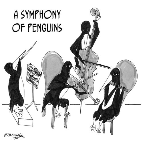 A Symphony of Penguins