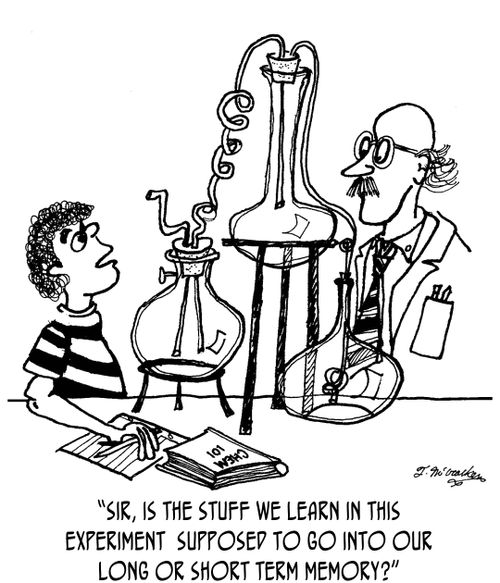'Sir, is the stuff we learn in this experiment supposed to go into our long or short term memory?'