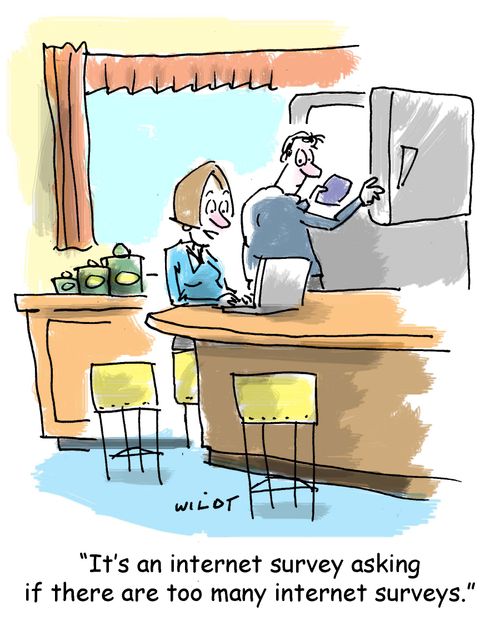 'It's an internet survey asking if there are too many internet surveys.'